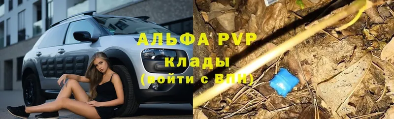 A-PVP СК КРИС Гай